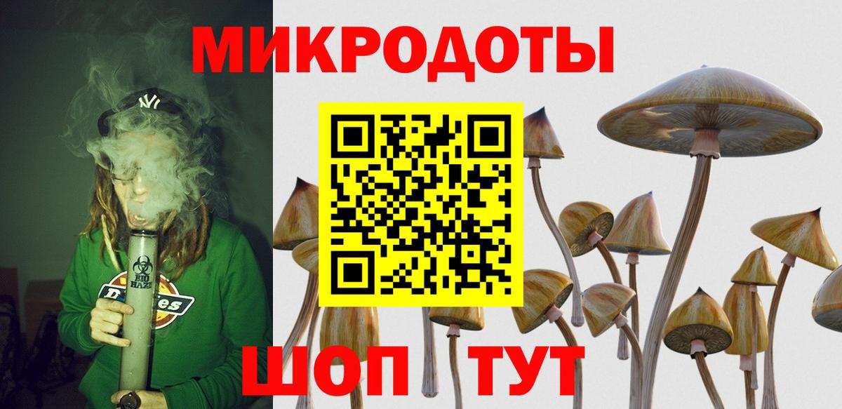 наркотики  Галлюциногенные грибы MAGIC MUSHROOMS  Вход с VPN  Ногинск 